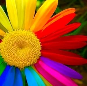 Meet your Posher, Maria luisa